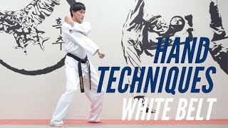 Taekwondo Hand Techniques, White Belt Curriculum