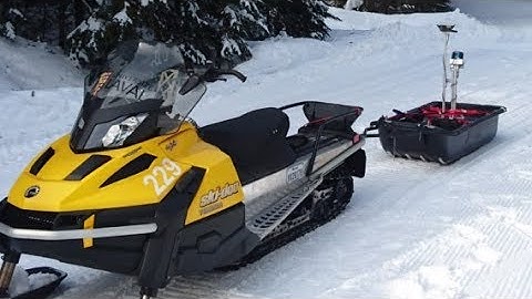 Large-scale 3D Mapping of Subarctic Forests