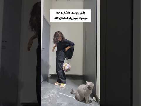    شورت فان