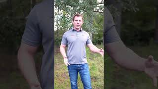 Buying Abandoned Foreclosure Homes is Risky! #realestate #houseflipping101 #houseflipper