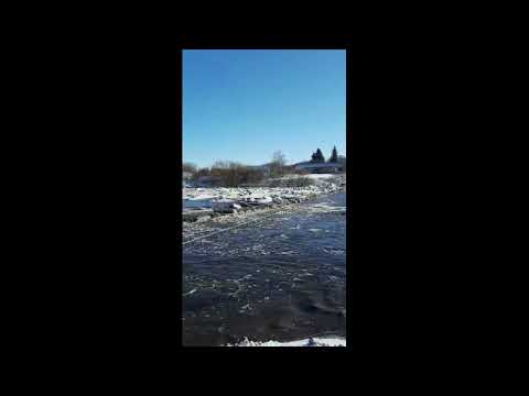 В Куркинском районе