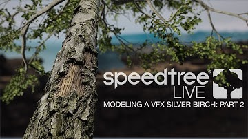 Modeling a VFX Silver Birch | Part 2