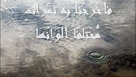 ۞الشحات محمد أنور من سورة فاطر-آية 26و27- (نهاوند)۞