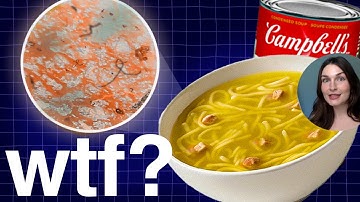 Is This Really Meat?