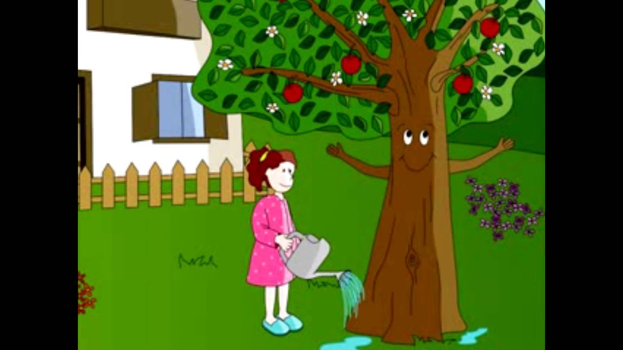 El Arbol Triste Primaria Ucam Cuento Sonoro Youtube