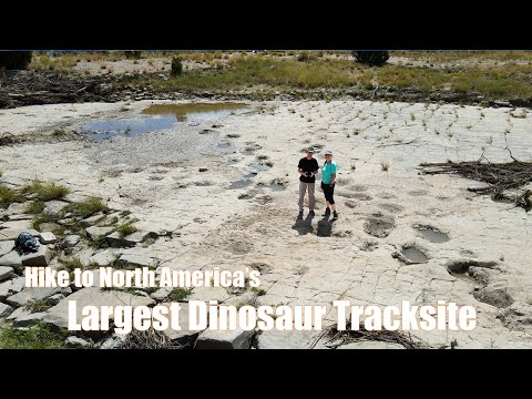 Hike to North America's Largest Dinosaur Track Site - Picketwire Canyon, Colorado