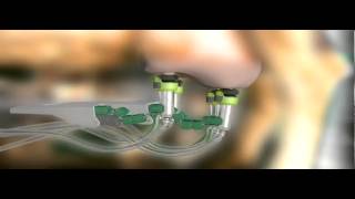GEA Farm Technologies -DairyProQ