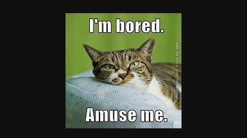 Best Practices in Reactive Application with Java 1.8 and Play by Will Sargent