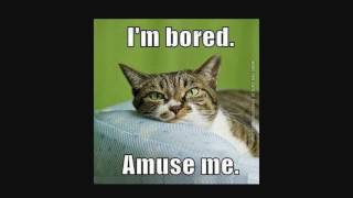 Best Practices in Reactive Application with Java 1.8 and Play by Will Sargent