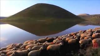 Göçmen Kızı - Cappadocia Turkish Folk Guitar - [Offical Video] Resimi