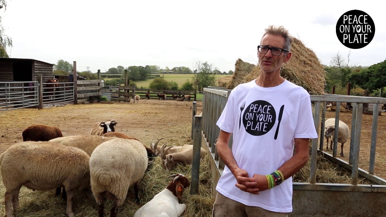 Martin talks about Tower Hill Stables Animals Sanctuary