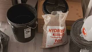 Avoid these Hydroton Preparation Mistakes in Hydroponics