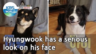 Hyungwook has a serious look on his face (Dogs are incredible) | KBS WORLD TV 210505