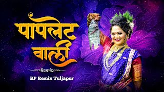 Papletwali Song  Mazya Manan Bharlis Kavri  Ago Papletwali Song Dj Song | Koligeet Dj Song