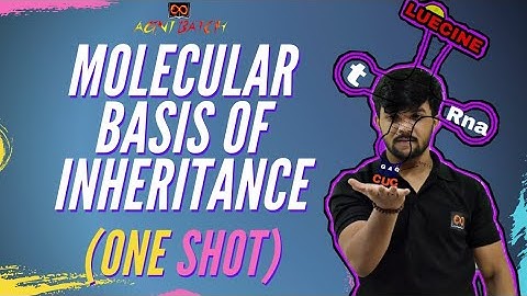 Molecular Basis of Inheritance One Shot NEET | Class 12 | NCERT | NEET 2022