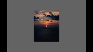 bikes at the pier  1 hour