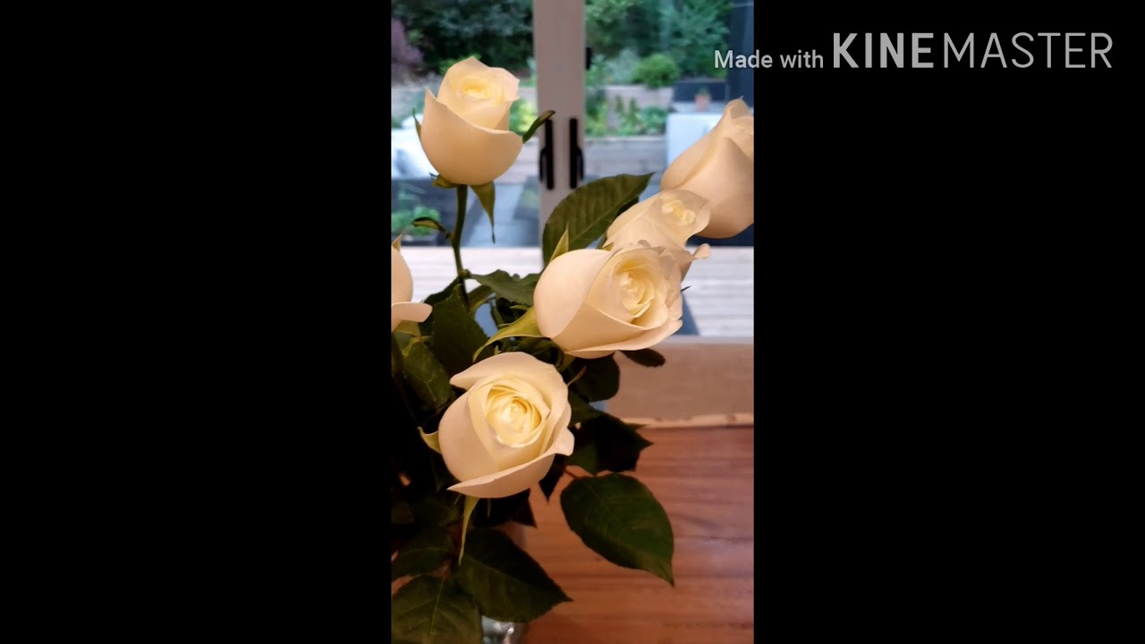 FLOWER'S MY STRESS RELIEVER! YouTube