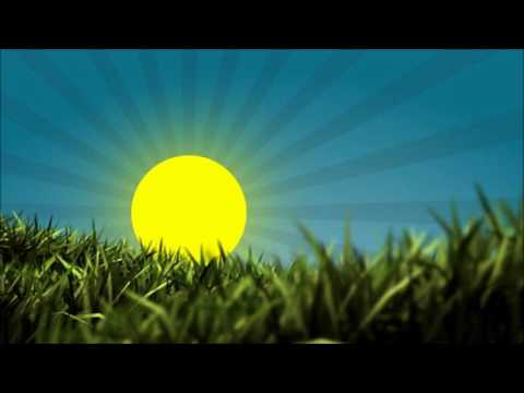 Fever Tree — Fever tree - Love makes  The sunrise
