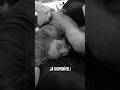 TREINÃO DE NOGI E MUAY THAI NO AR! #nogi #muaythai #bjj #jiujitsu