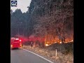 Japan Wildfires Rage in Iwate as Thousands Evacuate Amid Growing Threat