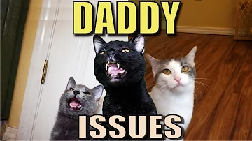 Talking Kitty Cat 52 - Daddy Issues