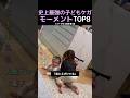 史上最強の子どもケガモーメントTOP8