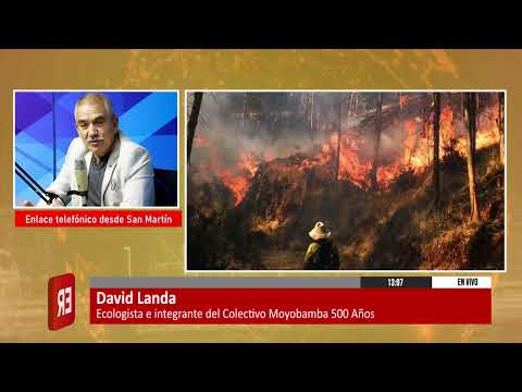 GOBIERNO DECLARA EN ESTADO DE EMERGENCIA A AMAZONAS, SAN MARTÍN Y UCAYALI POR INCENDIOS FORESTALES