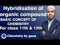 Hybridisation of organic compound || Basic concept of chemistry || for class 11th & 12th