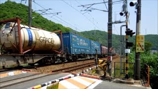 JR貨物 EF210-115号機[吹]+コキ26B　貨物列車1056レ【爆走＆GRACEタンク積載!!】