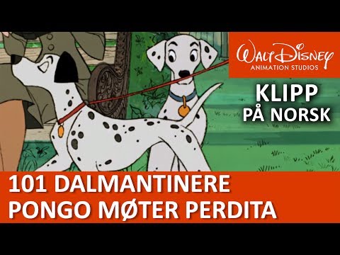 Video: Er pongo og perdita søskende?