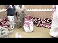 ماقدر النعمه البزنس 2 الروشن رشيد طاحوس ماقدر النعمه البزنس 2 الروشن رشيد طاحوس