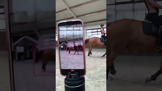 Trainer & rider Anna Marciniak | OneHorseLife shares her #PivoPOV