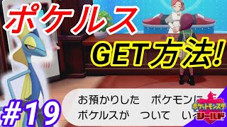 ついにポケルスget その感染ルートとは ポケモン剣盾 ポケットモンスターソード シールド 19 Youtube ついにポケルスget その感染ルートとは ポケモン剣盾 ポケットモンスターソード シールド 19 Youtube