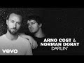 Arno cost norman doray  darlin lyric