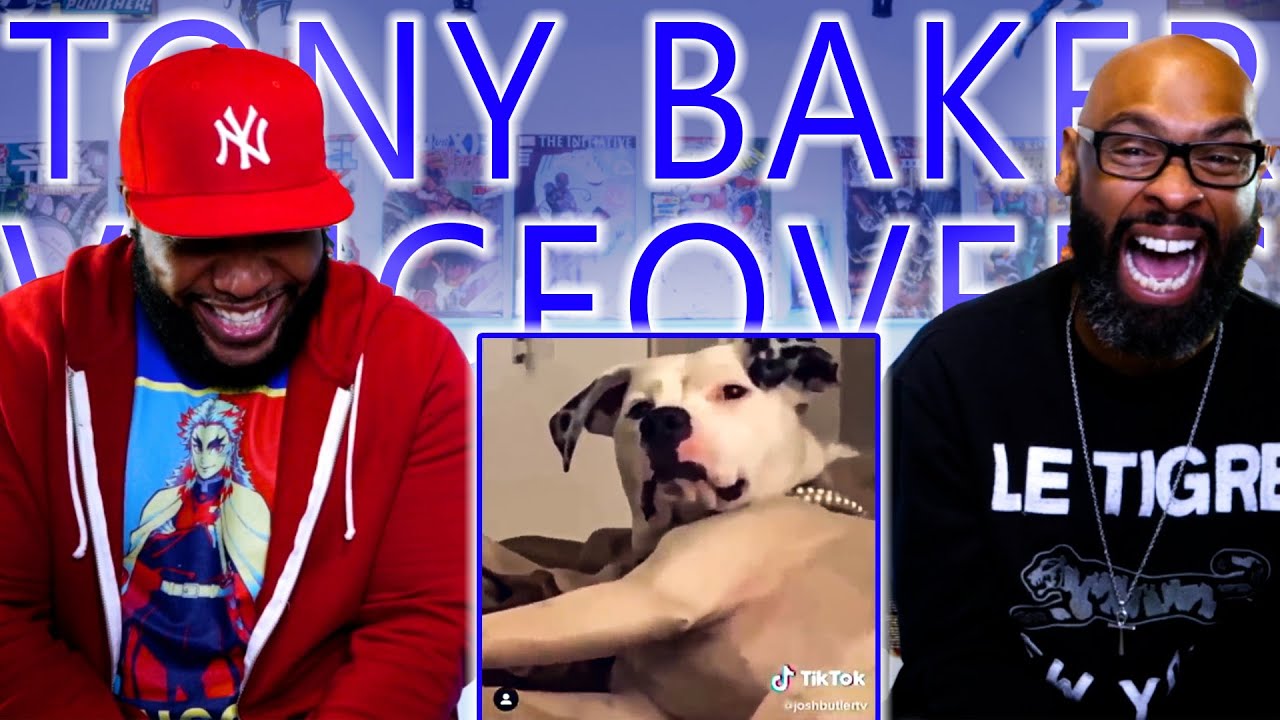 NEW Funniest Tony Baker Voice Over Compilation 😂😂😂 September 2020 *a must watch* | Reaction