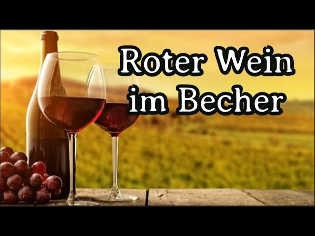 Karl Live - Roter Wein im Becher - YouTube