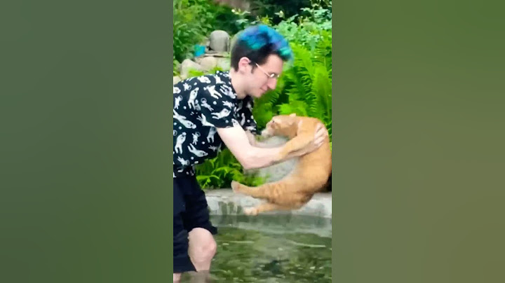 Симба очень испугался🙀💦