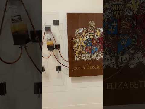 Visceral Canker  - Queen Elizabeth I (Tate Britain)