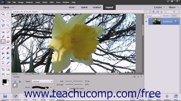 Photoshop Elements 2018 Tutorial The Smudge Tool Adobe Training