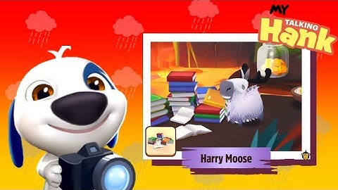 My Talking Hank - Gameplay Walkthrough Part 21 - New Rare Animals (iOS, Android)