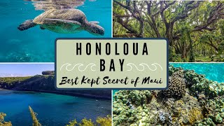 Honolua Bay Snorkeling: Best Snorkeling & Mini Hike On Maui  Tips You MUST Know Before Visiting!