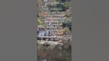 سورة الضحى يتلوها الشيخ فارس عباد