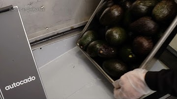 Meet Autocado, Chipotle’s New Robot to Make Guacamole Faster
