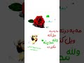 نعت زیبای ذکری بصوت دلربای حضرت مولانا خاکی حفظه الله نعت زیبای ذکری بصوت دلربای حضرت مولانا خاکی حفظه الله