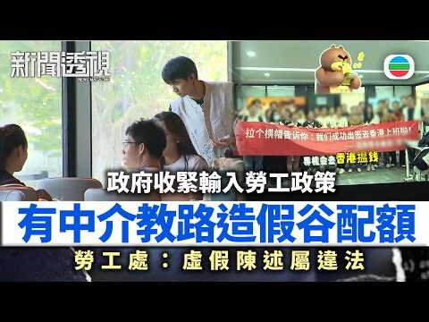 新聞透視｜輸入勞工政策收緊　有中介教路違規買強積金戶口湊人頭｜（繁／簡字幕）｜無綫新聞 ｜TVB News