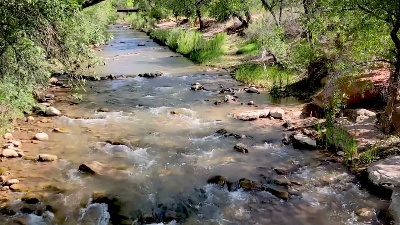 8 Hours of River Sounds in Zion, Utah | Relaxing Nature Sounds for Sleep, Study, Meditation