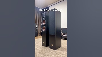 DALI Opticon 6 MK2