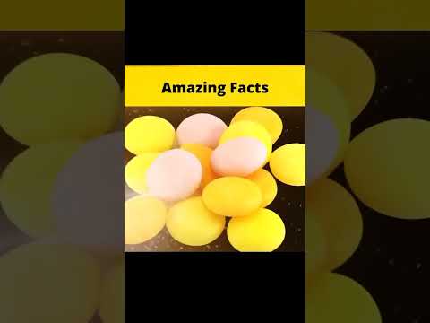 TOP 3 FACTS