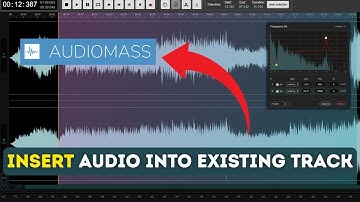 How to Insert Audio Into Existing Track in AudioMass 2025?