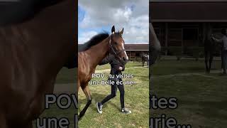 De La Belle Bête Ça...